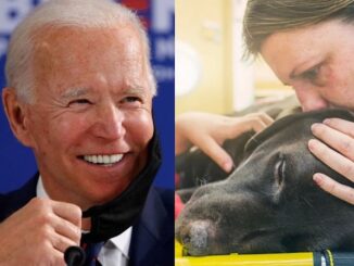 Bloomberg suggests letting your pets die to fight inflation