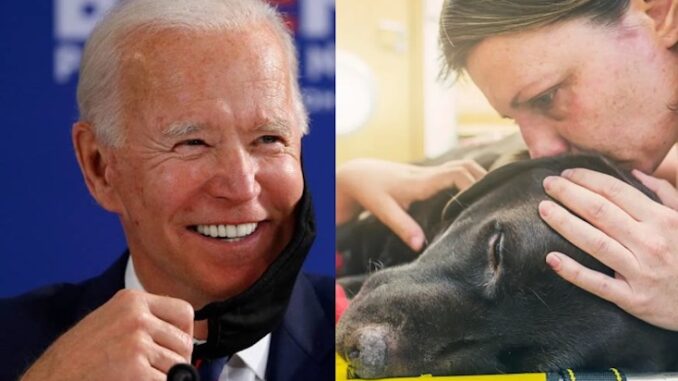 Bloomberg suggests letting your pets die to fight inflation