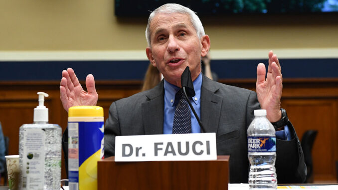 Dr Fauci