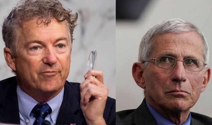 Senator Rand Paul introduces amendment to banish Dr. Fauci from public service