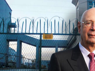 World Economic Forum vows to throw people who resist the 'Great Reset' into reeducation camps
