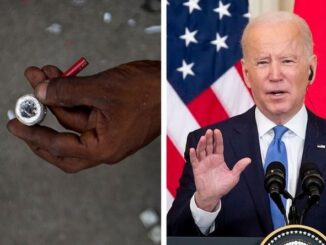 Crack pipe companies received a whopping $5 million in COVID loans from Biden admin