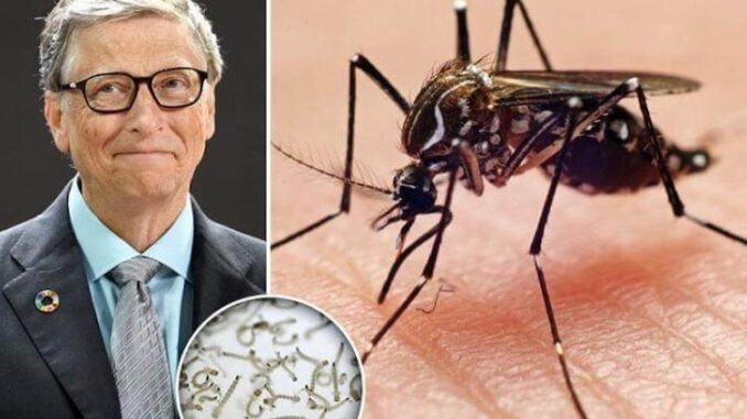 Scientists to flood California and Florida with millions of Bill Gates' GMO mosquitoes