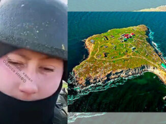 The MSM top Ukraine stories all turned out to be propaganda fake news