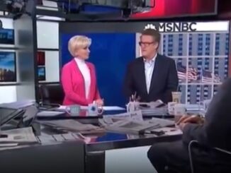 MSNBC complain it is their job to control what the public think - not Elon Musk's