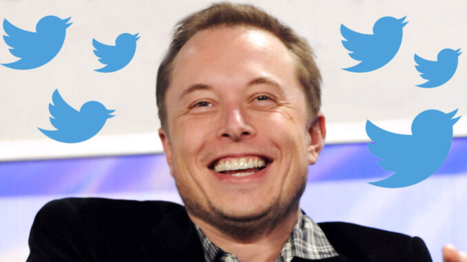 elon musk twitter