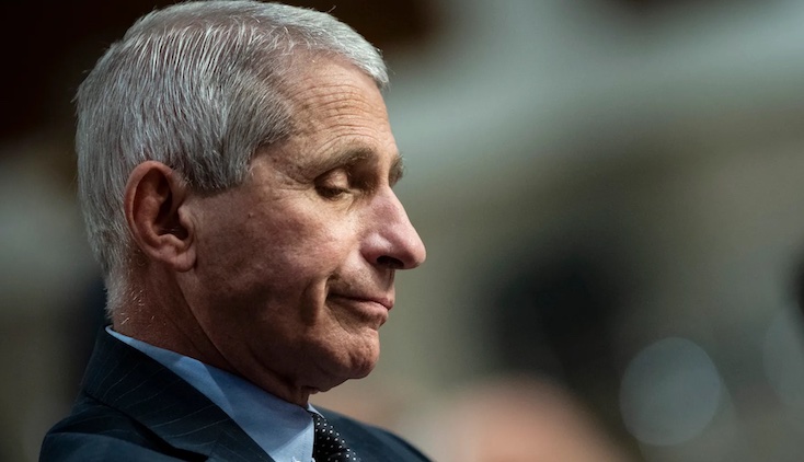 Fauci admits the pandemic is over