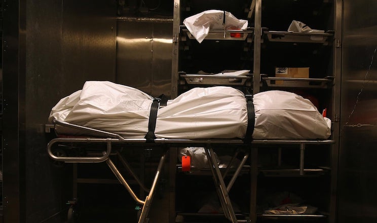 Everyone who got vaccinated predicted to die by 2025