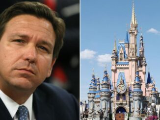 Gov DeSantis Disney