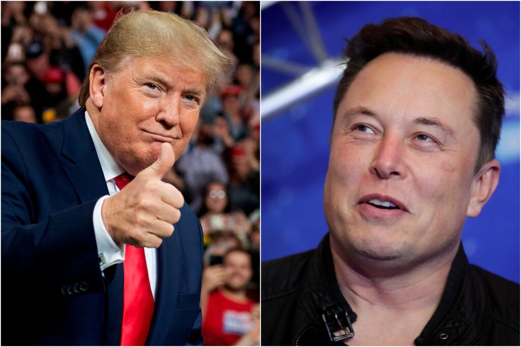 Trump elon musk