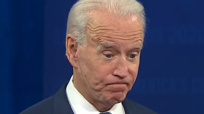 Audit finds majority of Joe Biden's twitter followers are fake