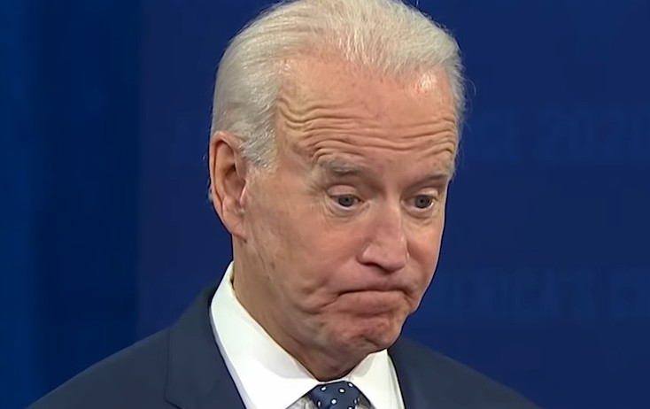 Audit finds majority of Joe Biden's twitter followers are fake