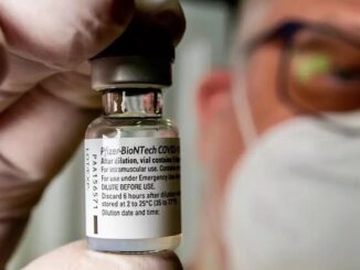 Key ingredient in Pfizer jabs found to stick to organs