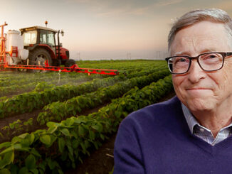 Bill Gates farmland