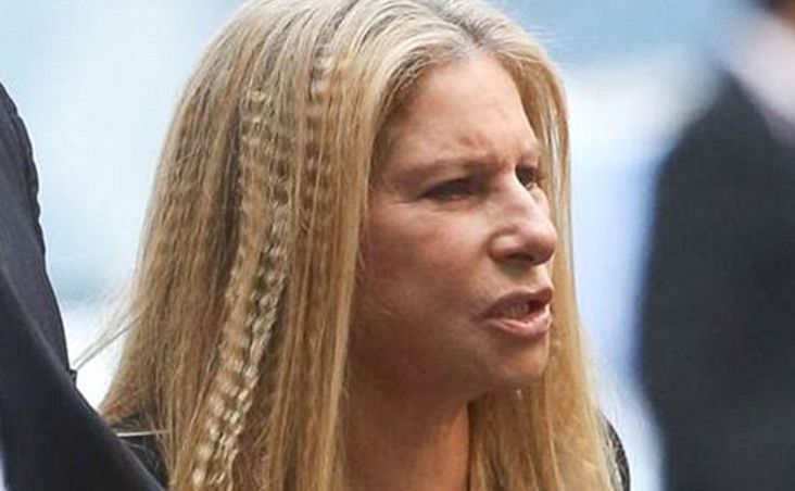 Barbra Streisand says the Supreme Court is the 'American Taliban'