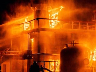 As food plants explode, huge insect factory opens that processes insects for human consumption