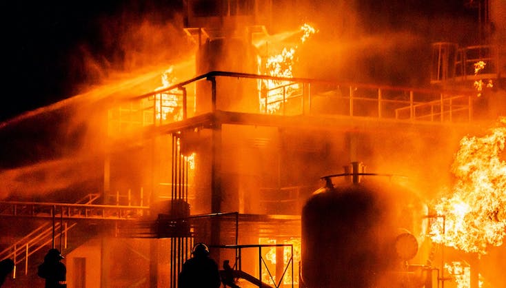 As food plants explode, huge insect factory opens that processes insects for human consumption