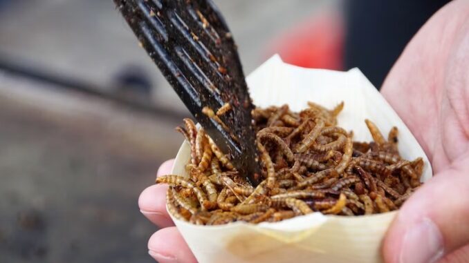 UK school kids will be forced to eat bugs as part of the Great Reset agenda