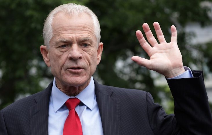 Peter Navarro warns they are going to arrest 74 million Trump supporters