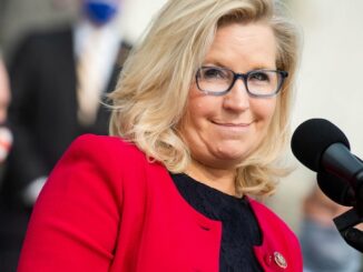 Liz Cheney says she is running to protect Americans from Trump becoming president