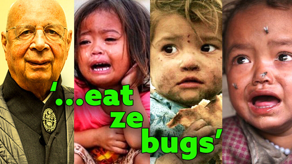 Founded in the early ‘70s by German economist and social engineer Klaus Schwab, the World Economic Forum has emerged as the head of the snake of the liberal world order, now consisting of 1,000 powerhouse member companies and global elites that meet annually in Davos, Switzerland to discuss their dystopian plans for “global redesign.”