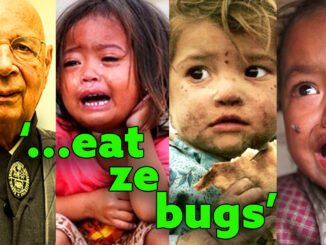 Founded in the early ‘70s by German economist and social engineer Klaus Schwab, the World Economic Forum has emerged as the head of the snake of the liberal world order, now consisting of 1,000 powerhouse member companies and global elites that meet annually in Davos, Switzerland to discuss their dystopian plans for “global redesign.”