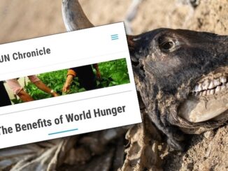 United Nations admits world hunger is necessary ti implement The Great Reset