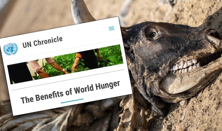 United Nations admits world hunger is necessary ti implement The Great Reset