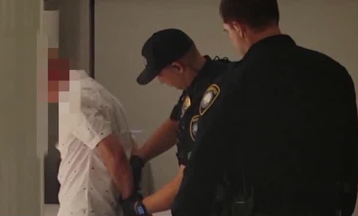 Joe Biden's mail-in-ballot chief arrested on child sex crimes