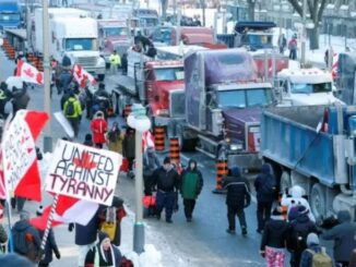 Canada join Dutch farmers uprising and reject the 'New World Order'