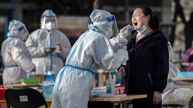 WHO predicts new Covid wave before U.S. midterms