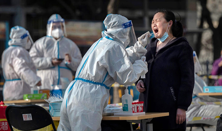 WHO predicts new Covid wave before U.S. midterms