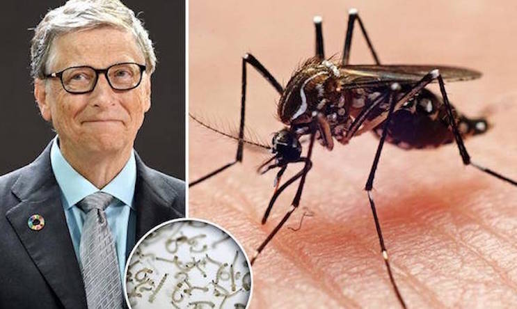 Months after a Bill Gates tech start-up released millions of genetically modified mosquitoes in to the wild, mosquitoes across the US are testing positive to extremely rare and deadly viruses, some of which have never before been reported in the United States.