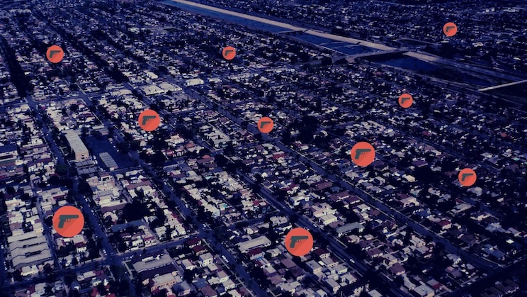 Democrats name and shame all gun-owners in California