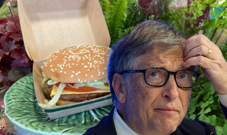 Bill Gates left reeling after McDonald's ditches fake meat