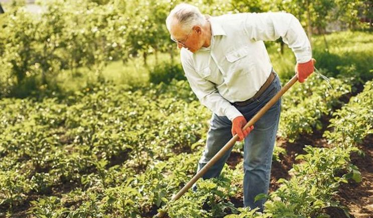 Scientists warn soil is causing sudden heart disease outbreak