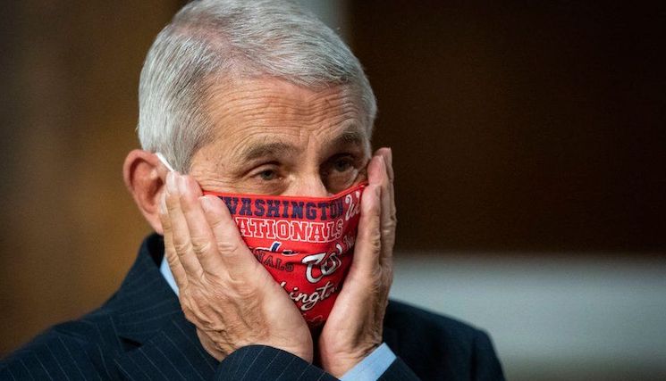 Republicans vow to launch criminal probe into Fauci after Midterms