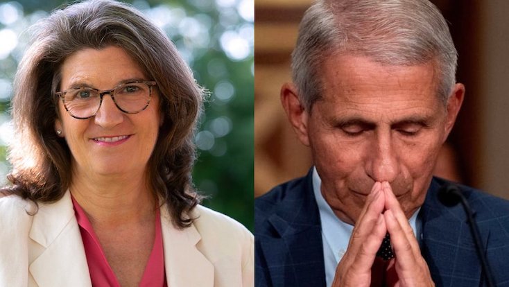 Mary Holland warns that COVID globalists who violated the Nuremberg code will be tried for crimes against humanity