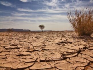 Two additional fertilizer plants shut down due to high gas prices