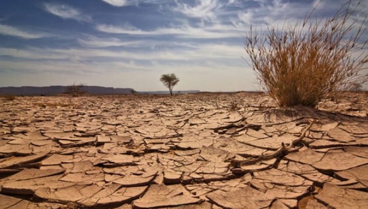 Two additional fertilizer plants shut down due to high gas prices