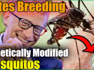 Bill Gates is now breeding 30 million mosquitos per week in a factory in Colombia and he is threatening to "scale and deliver" the mosquitos, which are infected with an infertility bacteria, to "communities around the world."