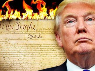 Trump consitution