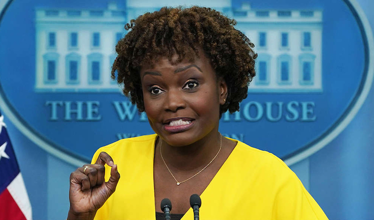 White House press secretary declares non-mainstream views are 'terrorism'