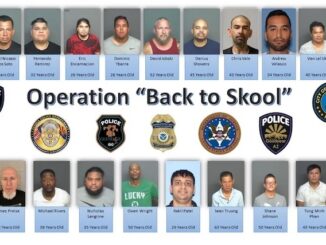 Police in Arizona bust massive pedophile ring