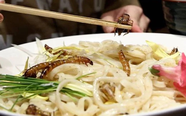 Big corporations are secretly adding bugs to our food