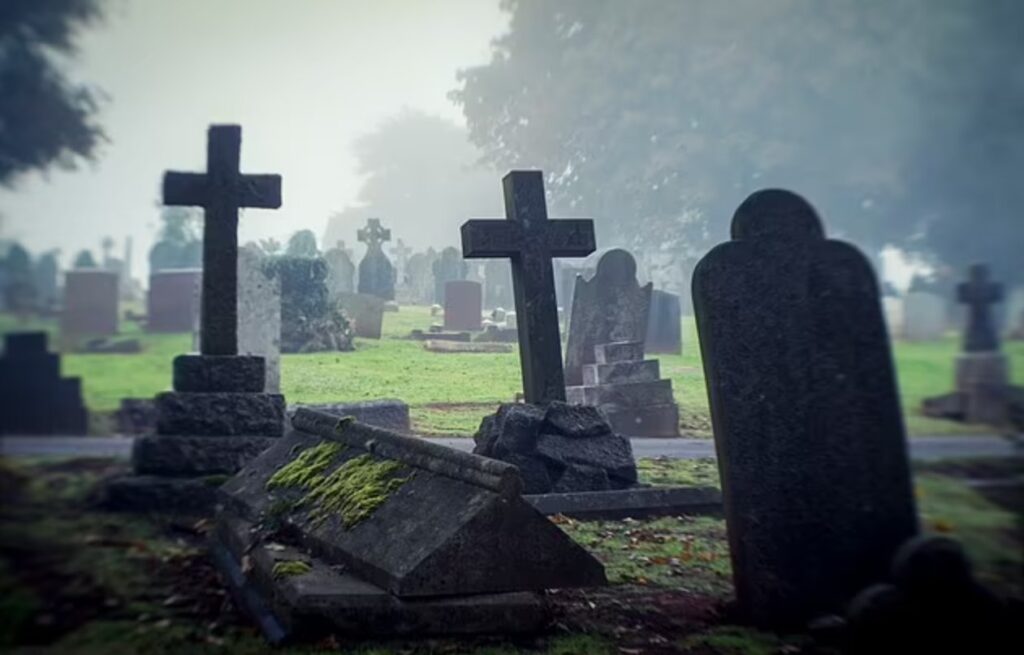 excess deaths Australia