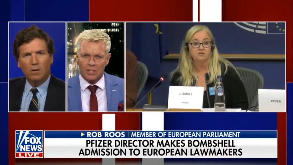 dutch MEP ROB Roos