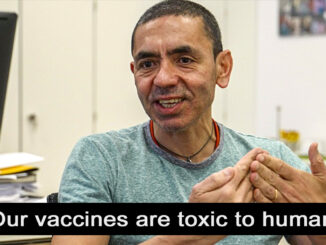 Dr Ugur Sahin, the CEO of BioNTech, the biotechnology company that worked with Pfizer to develop the world's first Covid vaccine, has admitted on camera that he did not get jabbed with a Covid vaccine.