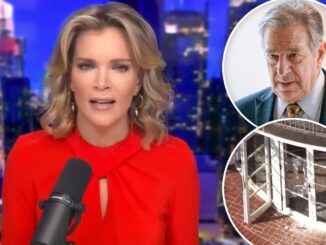 megyn-kelly-paul pelosi