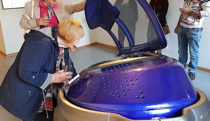 Canadian woman who can't afford to buy a home to be euthanized